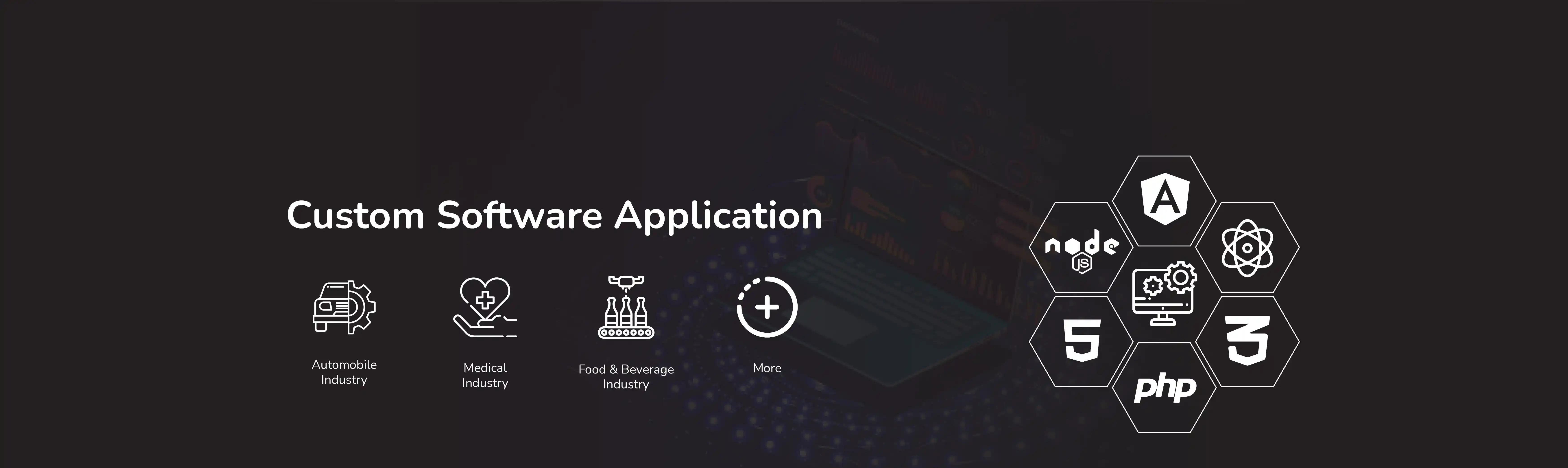 custom software application home banner